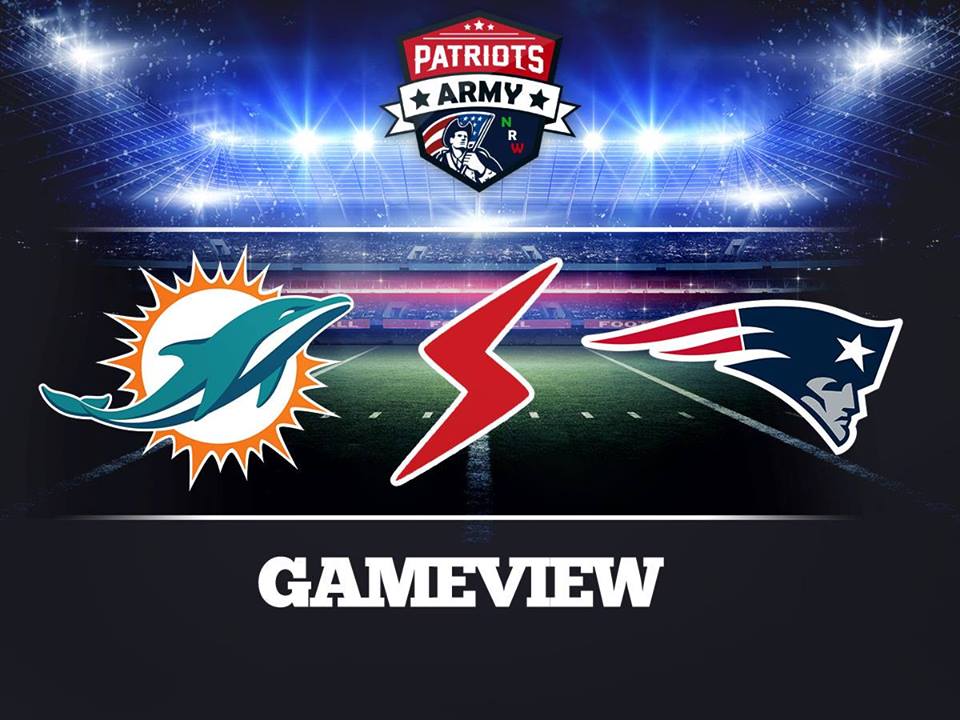 Pats dolphins
