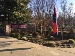 Front yard