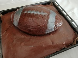 2019 09 15 dolphins c